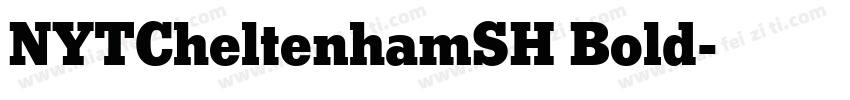 NYTCheltenhamSH Bold字体转换